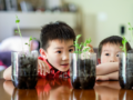 Young school children observing an experiment related to plants