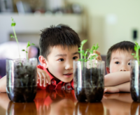 Young school children observing an experiment related to plants