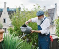 Old man watering a plant